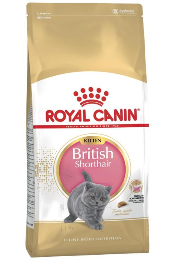 Royal Canın British Shorthair Yavru Kedi Maması 2kg - Image 1