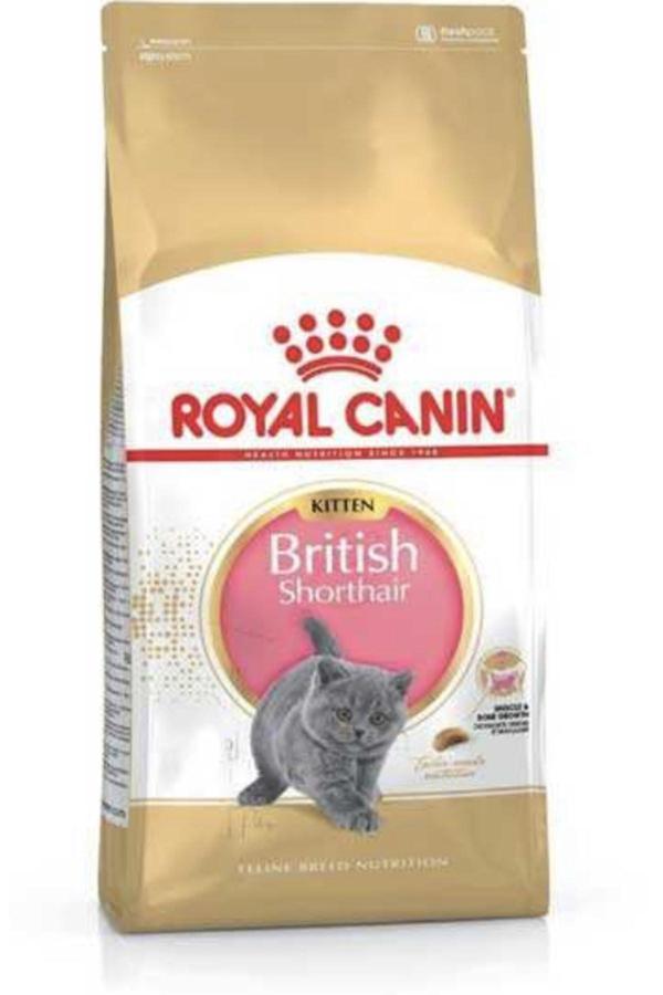 Royal Canın British Shorthair Yavru Kedi Maması 2kg - Image 1