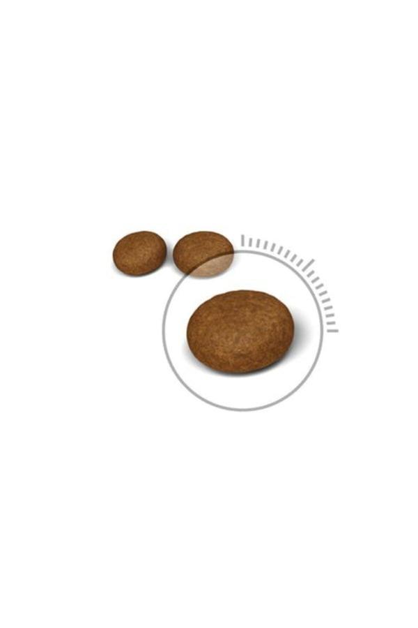 Royal Canin Mother Babycat Yavru Kuru Kedi Maması 4 kg - Image 1