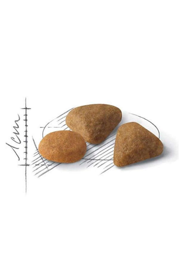 Royal Canin Savour Exigent Hassas 35/30 Kuru Kedi Maması 10 Kg - Image 1