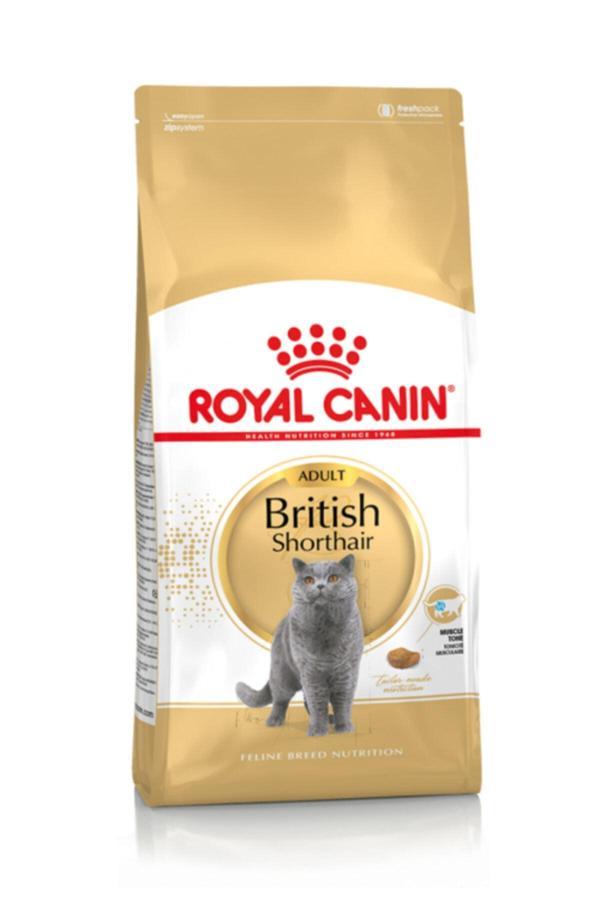 Royal Canin British Shorthair Adult Yetişkin Kedi Maması 4 kg - Image 1