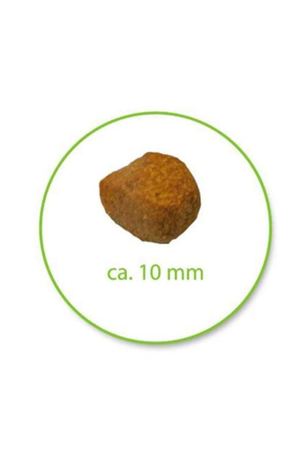 Royal Canin Oral Care Kedi Maması 1,5 Kg - Image 1