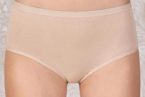 BERRAK 2321 BAYAN MODAL YÜKSEK BEL KÜLOT 6 ADET - Image 1