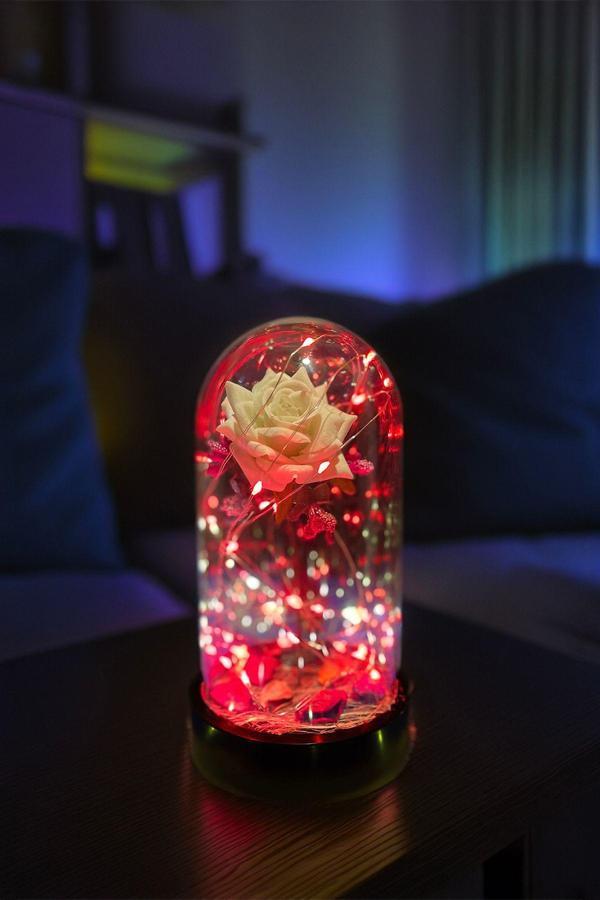 Celestia Anneler Gününe Özel Beyaz Gül Kırmızı Fanus Lamba Usb'Li Yapay Çiçek Dekoratif Aydınlatma Hediyelik - Image 1