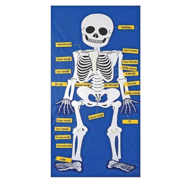 AND-9150 CIRTLI İSKELET PANO 5119 - Image 1