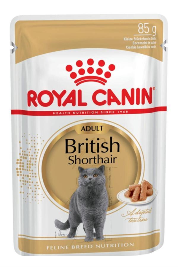 12 Adet British Shorthair Yetişkin Kedi Yaş Maması 85 Gr - Image 1
