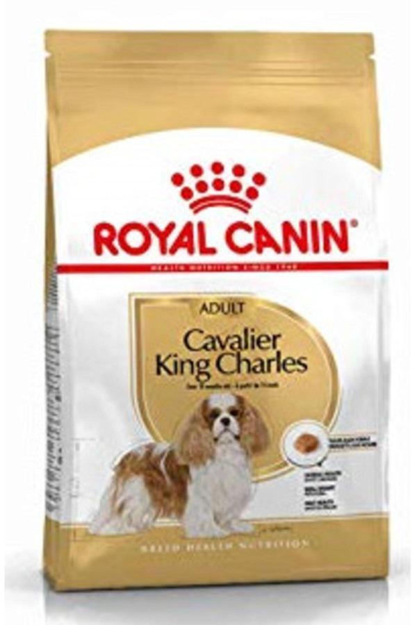 Royal Canin Cavalier King Charles 27 Yetişkin Köpek Maması 3 kg - Image 1