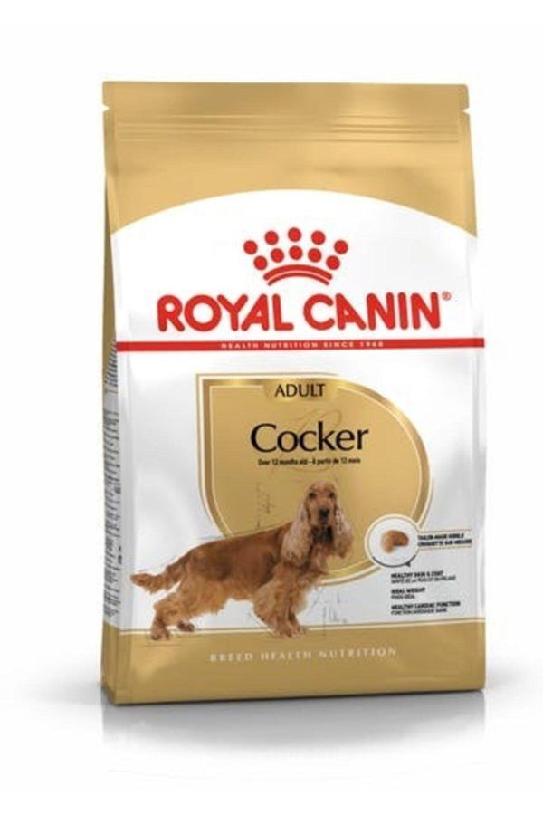 Royal Canin Cocker Irka Özel Yetişkin Köpek Maması 3 kg - Image 1