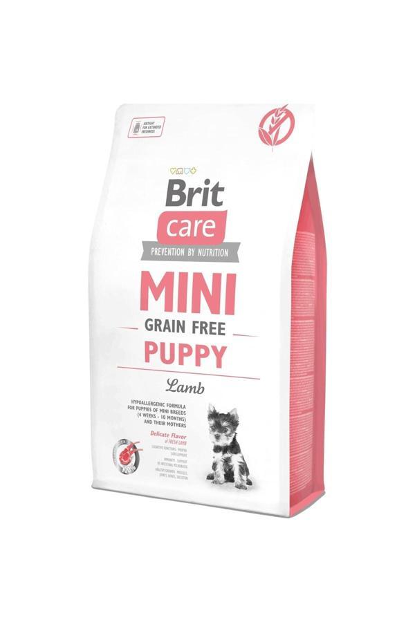 Brit Care Tahılsız Kuzu Etli Mini Irk Yavru Köpek Maması 2 Kg - Image 1