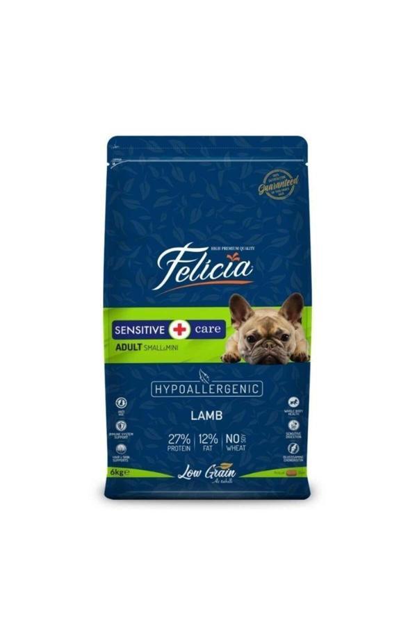 Düşük Tahıllı Hypoallergenic 3kg Felicia Small Mini Adult Kuzulu Yetişkin Köpek Maması - Image 1