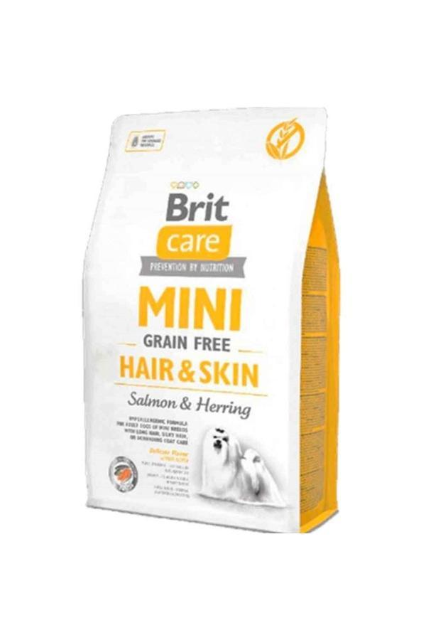 Care Tahılsız Mini Hair Skin Somonlu Köpek Maması 2 Kg - Image 1