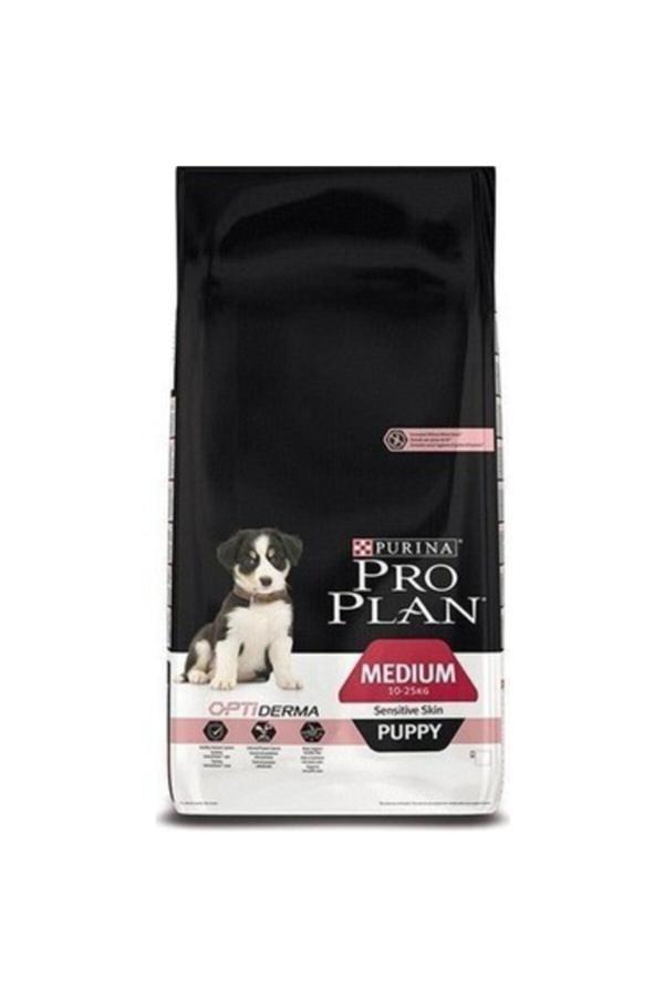 Medium Puppy Somonlu Yavru Köpek Maması 12 Kg - Image 1