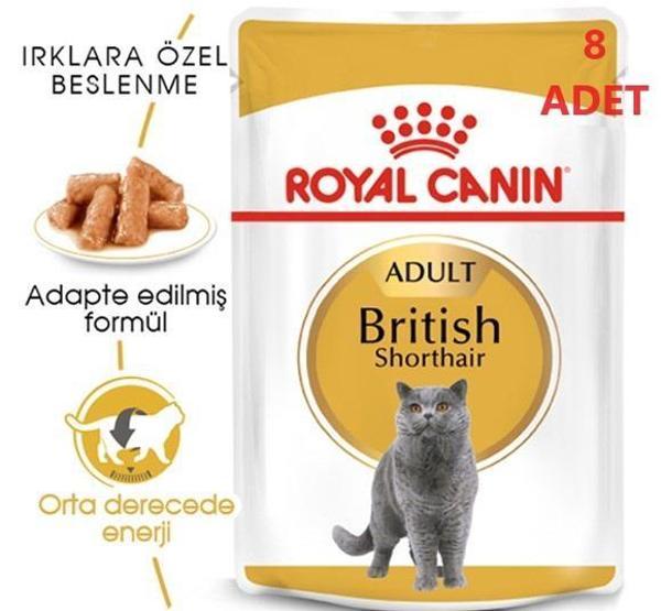 Royal Canin Pouch British Yetişkin Kedi Konservesi 85gr x 8 Adet - Image 1