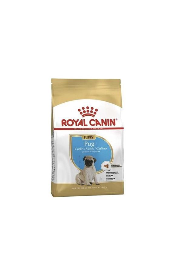 Royal Canin Pug Irkı Junior Yavru Köpek Maması 1,5 kg - Image 1