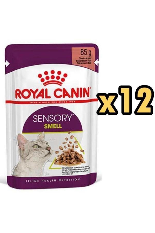 Royal Canin Sensory Smell Yetişkin Kedi Konservesi 85gr x 12 Adet - Image 1