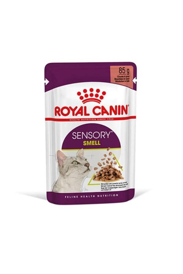 Sensory Smell in Gravy Adult Kedi Konservesi 12X85 Gr - Image 1