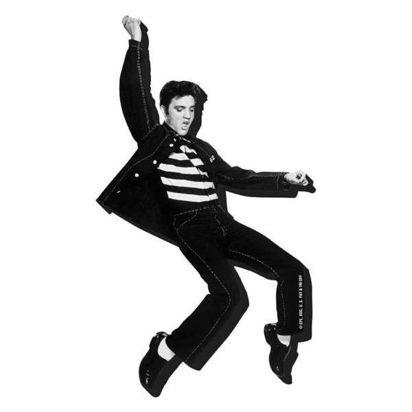 Aquarius Elvis “Jailhouse” – Chunky Magnet - Image 1