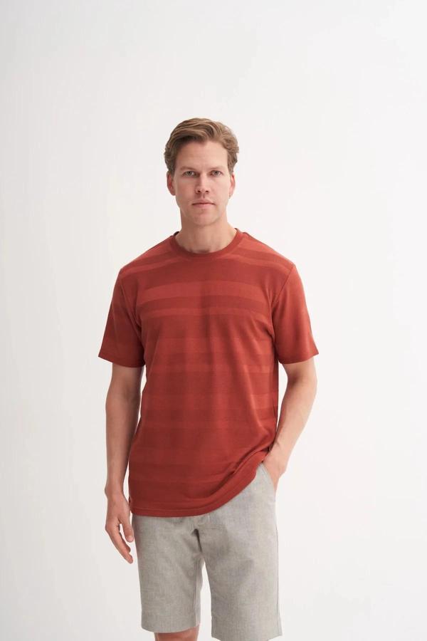Cazador Bisiklet Yaka Regular Fit Örme Tişört 4123 - Image 1