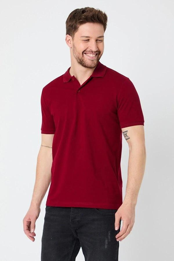 Burlu Erkek  Polo Yaka Kısa Kollu Yazlık T-Shirt - Image 1
