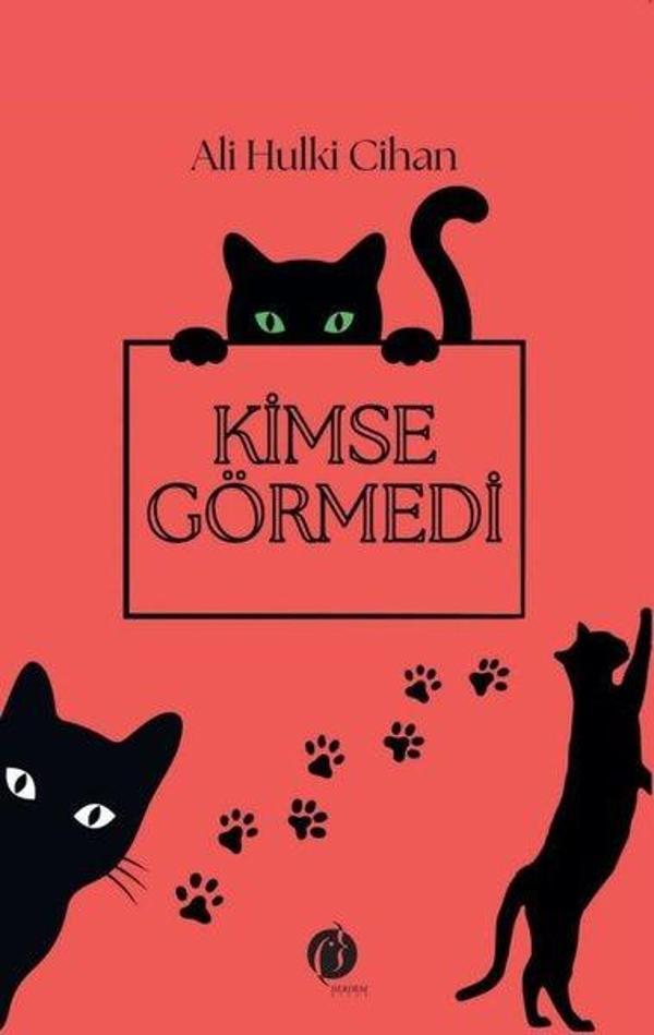 Kimse Görmedi - Herdem Kitap - Image 1