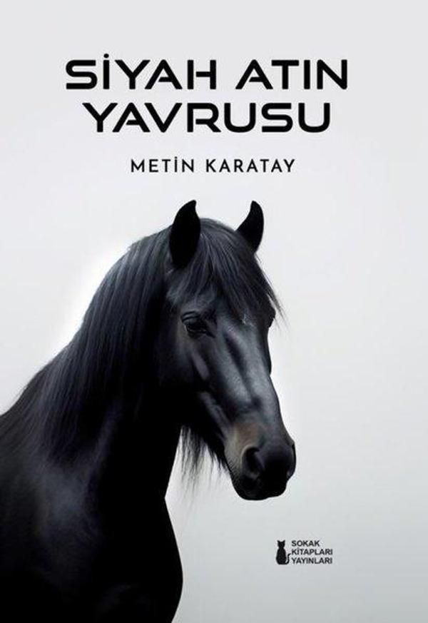 Siyah Atın Yavrusu - Sokak Kitapları Yayınları - Image 1