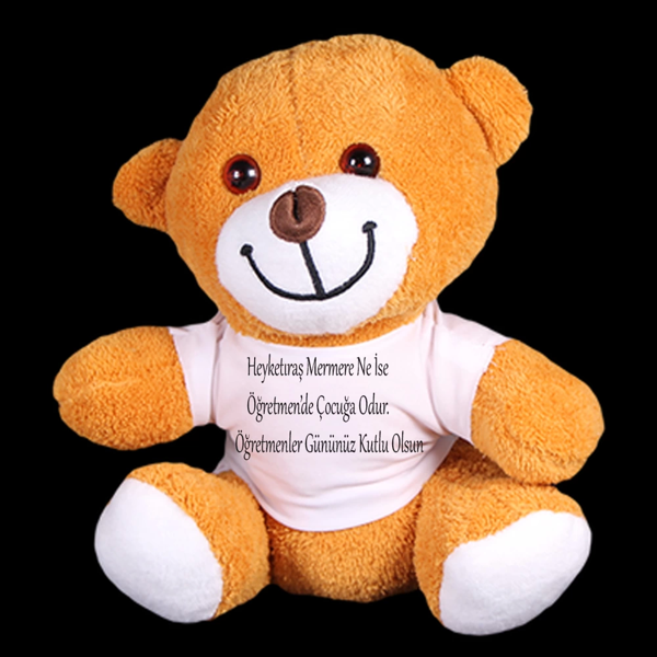Öğretmenler Günü Hediyesi Peluş Ayıcık - Image 1