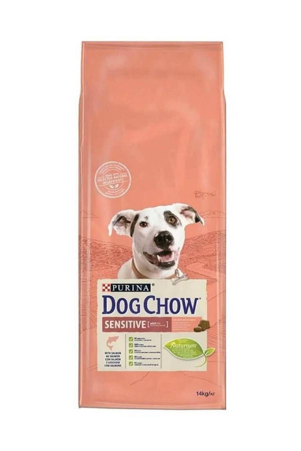 Purina Dog Chow Sensitive Somonlu Yetişkin Köpek Maması 14 Kg - Image 1
