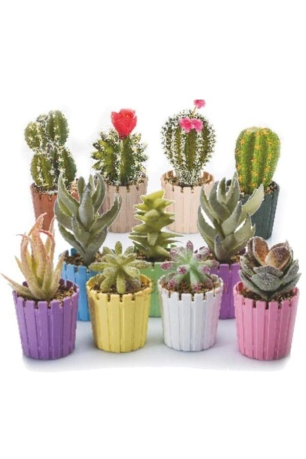 Modatools Poliwork Akasya Kaktüs Saksısı Mini Saksı 1 Adet 6 Cm Vip-29918 - Image 1