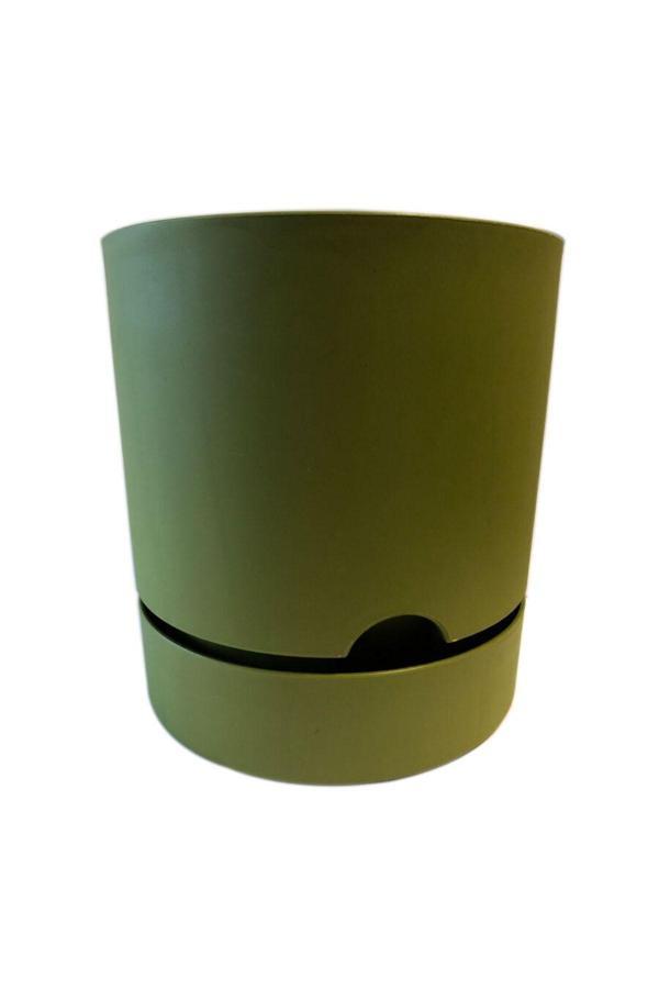 Aster Begonya Saksı Yeşil 18 Cm - Image 1