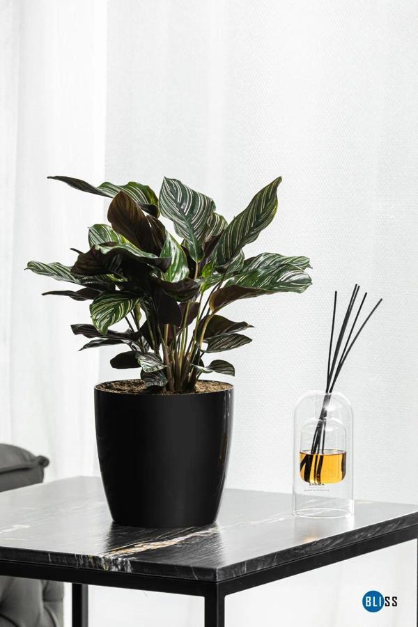 Bidünya Yakut Çiçek Saksısı 4,4 Litre Siyah - Image 1