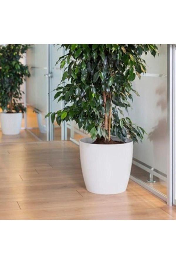 Bidünya Yakut Saksı 7,4 Lt Kırık Beyaz Renk - Image 1