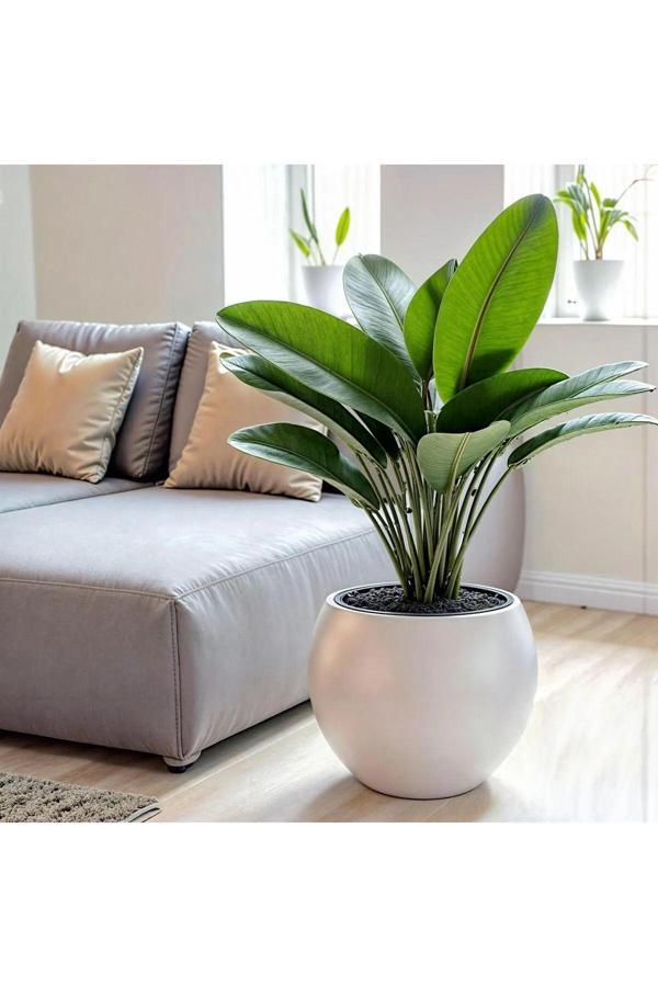 Bidünya Küre Saksı Modern Dekoratif Plastik Saksı 27 Litre (İçsiz) - Image 1