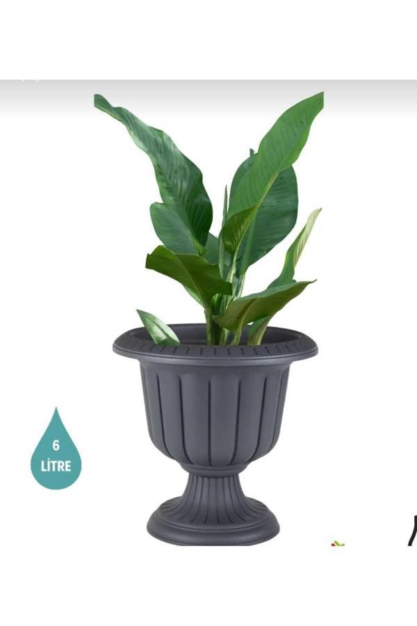 Poliva Nergiz Saksı 6 Litre Koyu Antrasit Renk Ayaklı Plastik Çiçek Saksısı Modern - Image 1