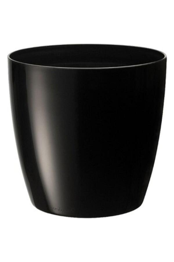 Serinova Rüzgar Yapay Çiçekçilik Yakut 4 7,4 Litre Saksı - Image 1