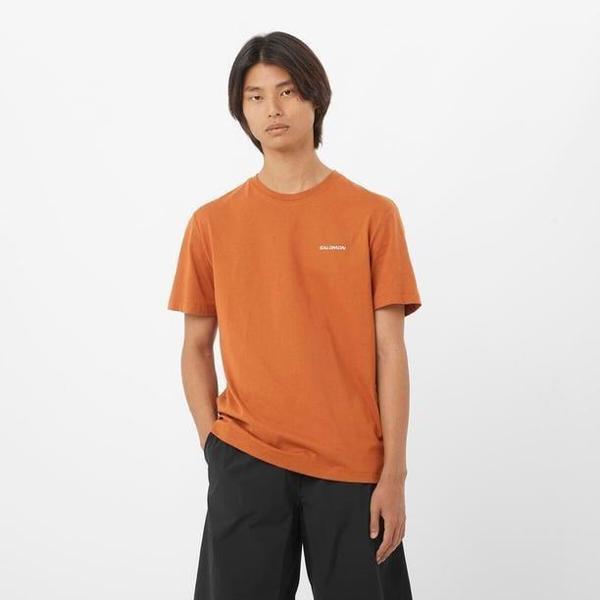 Salomon Logo Tee M Erkek T-Shirt - Image 1