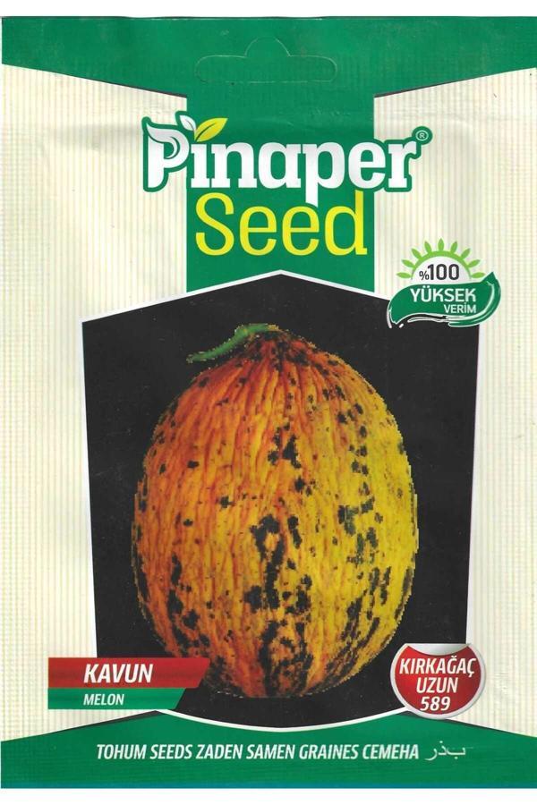 Pinaper Seed Kırkağaç Uzun 589 Kavun Tohumu 5 Gr Pınaper Tohumculuk - Image 1