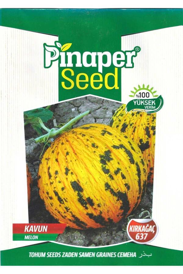 Pinaper Seed Kırkağaç 637 Kavun Tohumu 10 Gr Pınaper Tohumculuk - Image 1