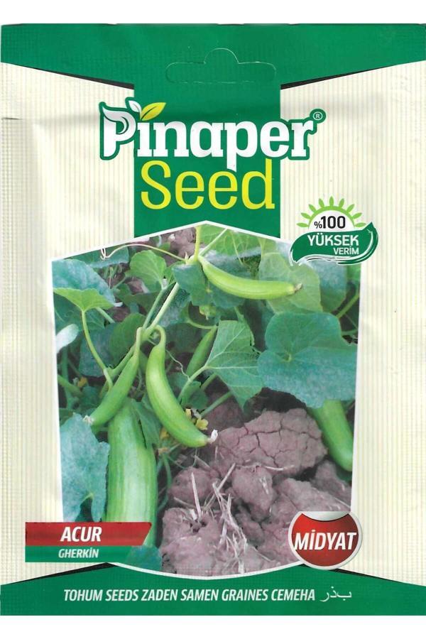 Pinaper Seed Midyat Acur Tohumu 10 Gr Pınaper Tohumculuk - Image 1