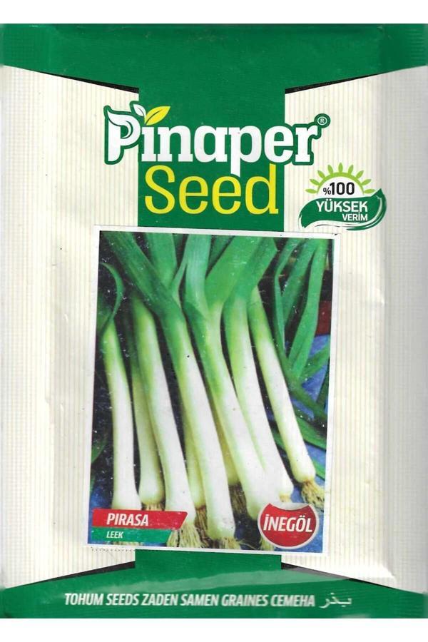 Pinaper Seed İnegöl Pırasa Tohumu 10 Gr Pınaper Tohumculuk - Image 1
