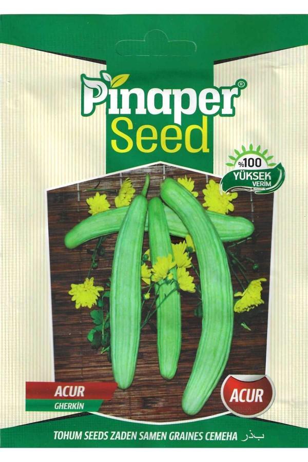 Pinaper Seed Acur Tohumu 10 Gr Pınaper Tohumculuk - Image 1