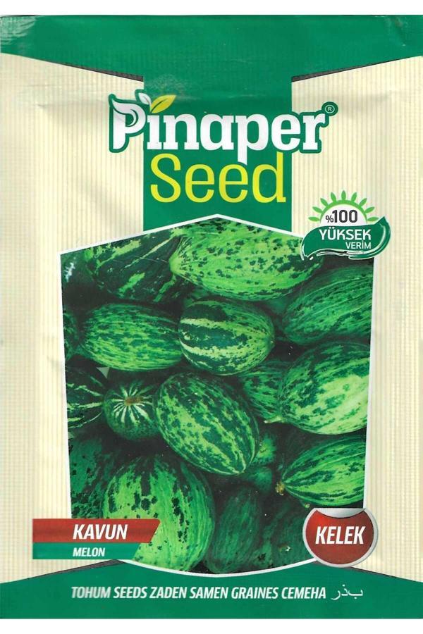 Pinaper Seed Kelek Hıdır Kavun Tohumu 10 Gr Pınaper Tohumculuk - Image 1