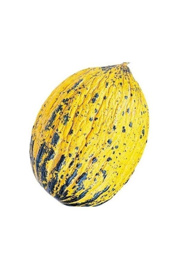 Aksaray Tohumculuk Yerli Kavun Tohumu 10 Gr Tohum - Image 1