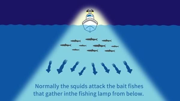 Yamashita Upper 95 mm Kalamar Zokası RG - Image 1