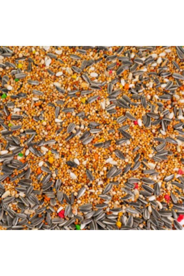 Tnt Shop T-Bird Papağan Yemi 1 Kg - Image 1