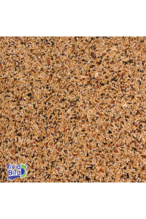 Tnt Shop T-Bird Karışık Kanarya Yemi 1 Kg - Image 1