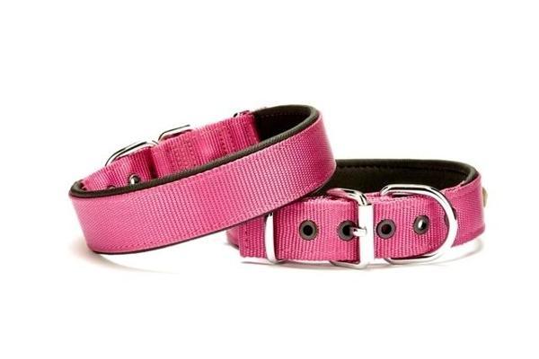 Doggie Softlu Köpek Boyun Tasması 3 cm x 55 cm Mor - Image 1