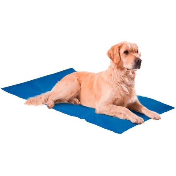 Nunbell Serinleticili Köpek Yatağı 4X-Large - Image 1