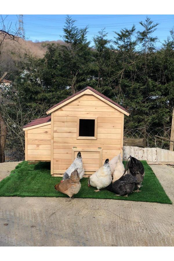 Berzbuğ Ahşap Tavuk Kümes (10 Tavukluk) - Image 1