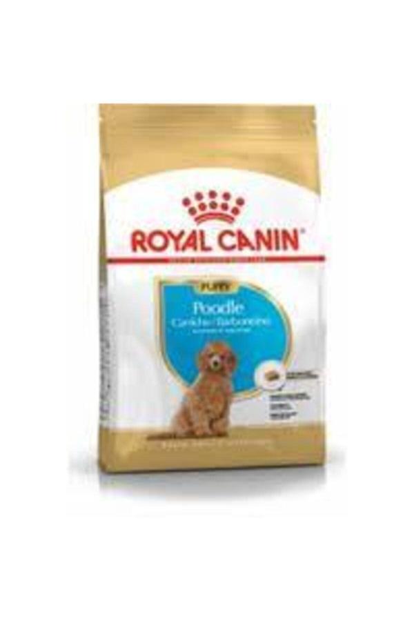 Royal Canin Puppy Poodle Küçük Irk Yavru Köpek Maması 3 kg - Image 1