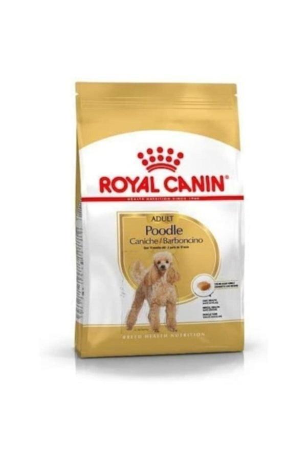 Royal Canin Poodle Adult Yetişkin Köpek Maması 3 kg - Image 1